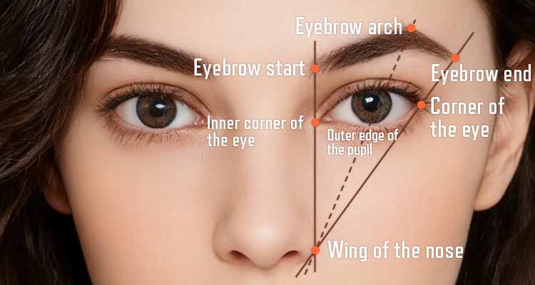 How to apply eyebrow makeup